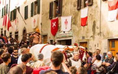 Festa della Stagion Bona 2019 – Programma